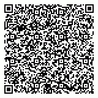 vCard 79182198733