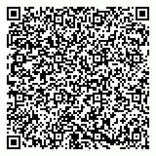 vCard 79182199111
