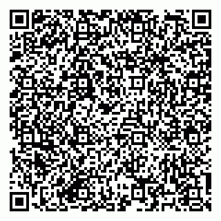 vCard 79182251704