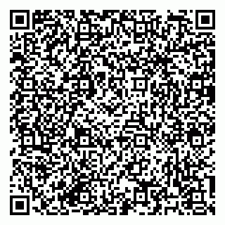 vCard 79182251730