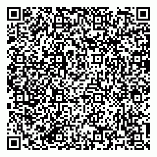 vCard 79182251731