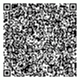 vCard 79182251737