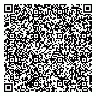 vCard 79182251775