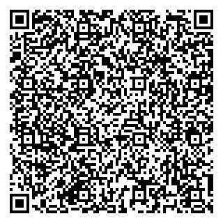 vCard 79182251776