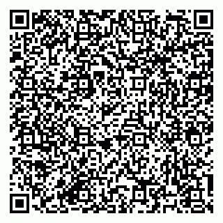 vCard 79182251779