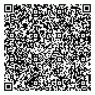 vCard 79182251933