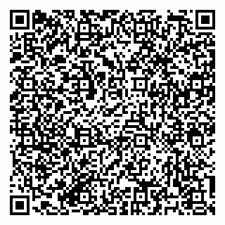 vCard 79182251965