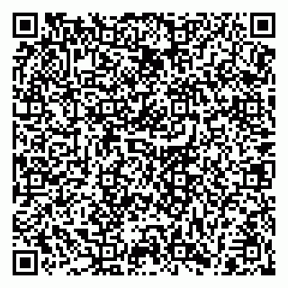vCard 79182268033