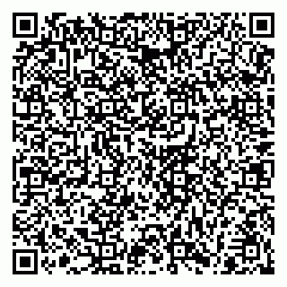 vCard 79182268038