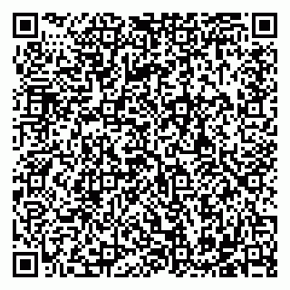 vCard 79182268171