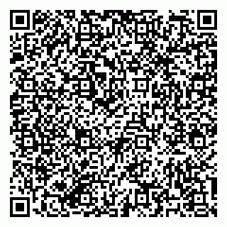 vCard 79182268288