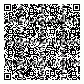 vCard 79182268313