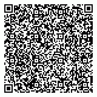 vCard 79182268335