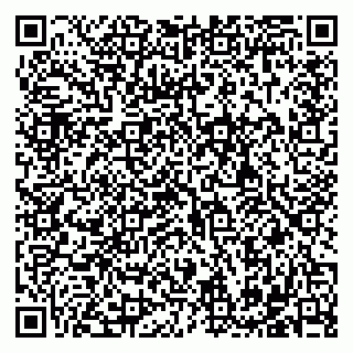 vCard 79182268352