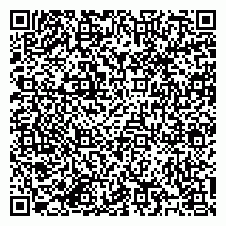 vCard 79184200029