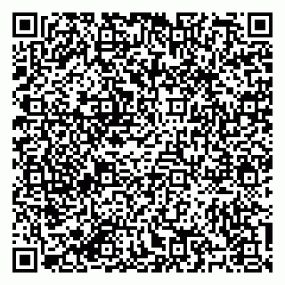 vCard 79184200087