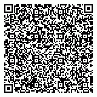 vCard 79184200113
