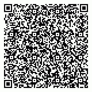 vCard 79184200131