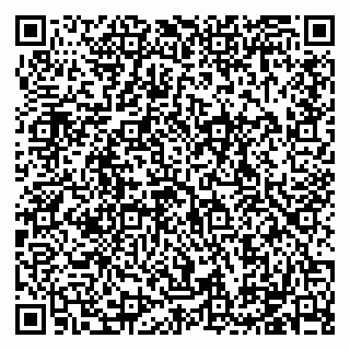 vCard 79184200171