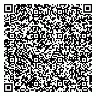 vCard 79184200174