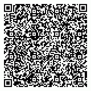 vCard 79184200208