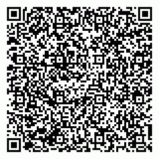 vCard 79184200259
