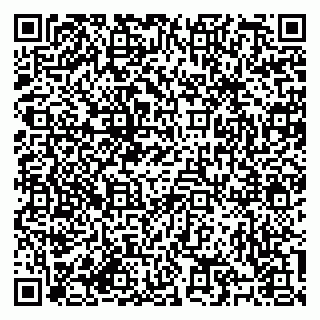 vCard 79184200276