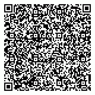 vCard 79184200295