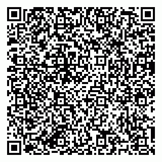 vCard 79184200333