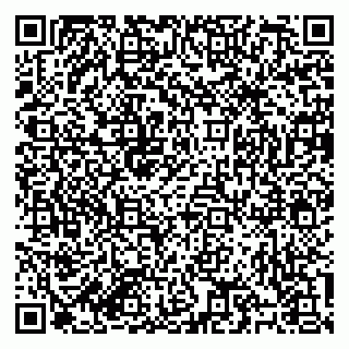 vCard 79184200334