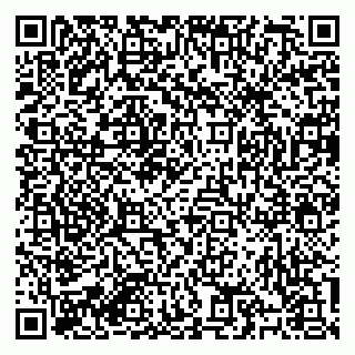 vCard 79184200335