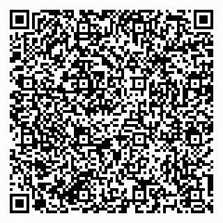 vCard 79184200378