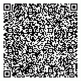 vCard 79184200384
