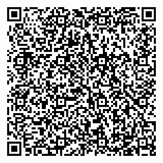 vCard 79184200387