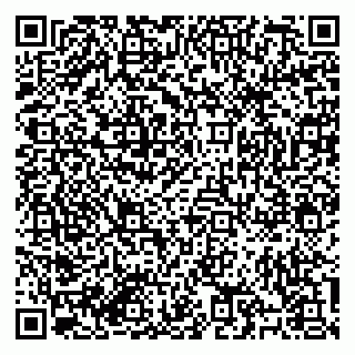 vCard 79184200391