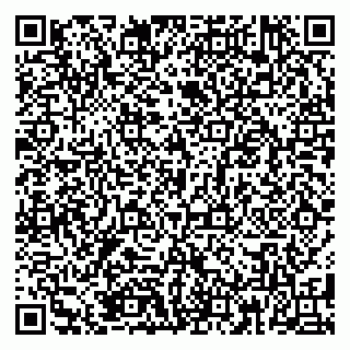 vCard 79185000973
