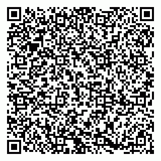 vCard 79185001002