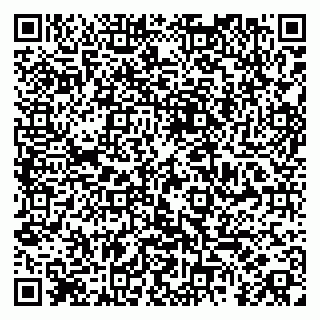 vCard 79185001005