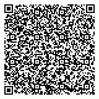 vCard 79185001013