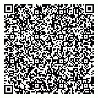 vCard 79185001017