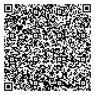 vCard 79185001027