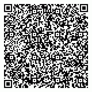 vCard 79185001040