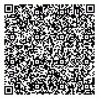 vCard 79185001173