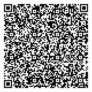 vCard 79185001301