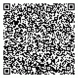 vCard 79185001302