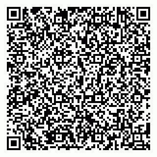 vCard 79185001303