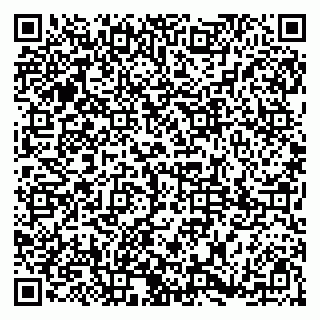 vCard 79185001306