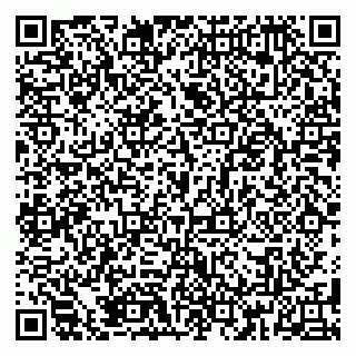 vCard 79185001308