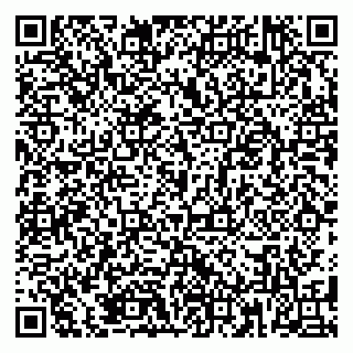 vCard 79185001333