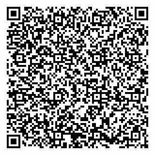 vCard 79185001339